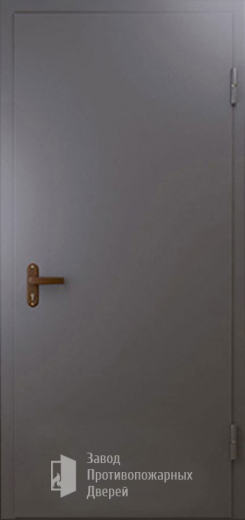 Фото двери «Техническая дверь №1 однопольная» в Долгопрудному