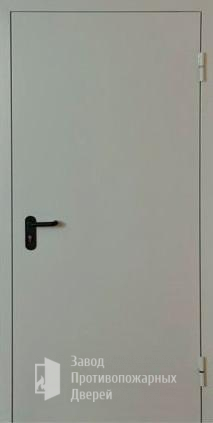Фото двери «Однопольная глухая EI-30» в Долгопрудному