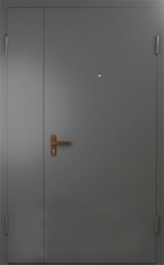 Фото двери «Техническая дверь №6 полуторная» в Долгопрудному